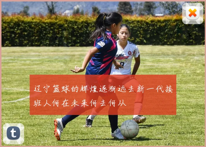 辽宁篮球的辉煌逐渐远去新一代接班人何在未来何去何从